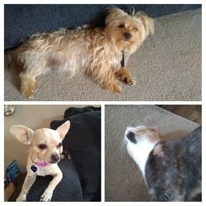 Meet your Posher, Cindy